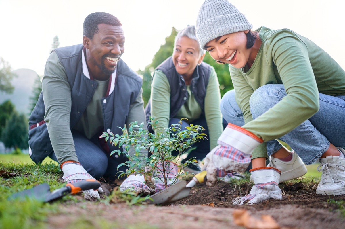 Community volunteers planting a garden together